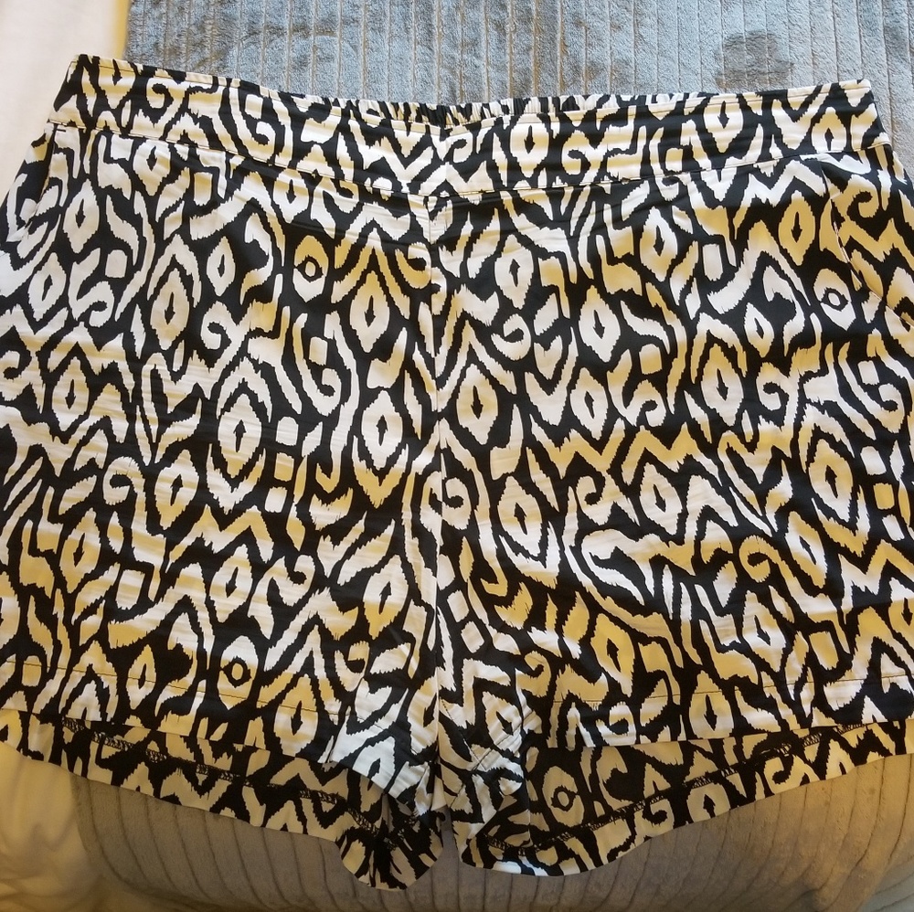 Torrid Shorts